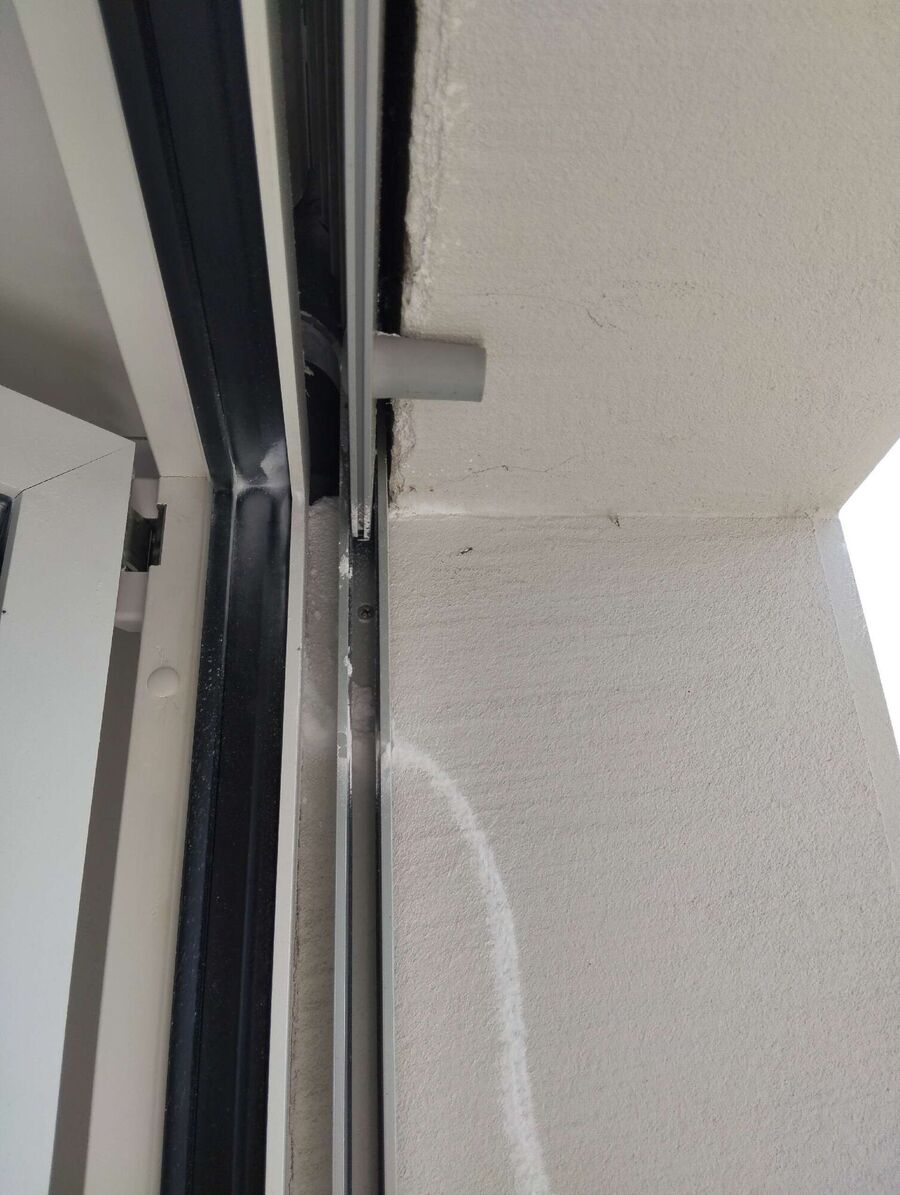 wespennest_entfernen