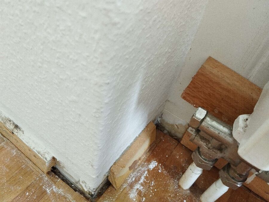 wespennest_entfernen