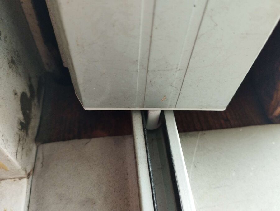 wespennest_entfernen