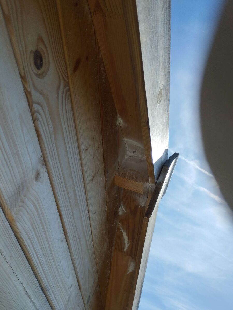 wespennest_entfernen