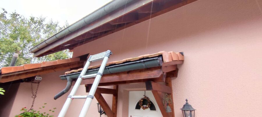 wespennest_entfernen