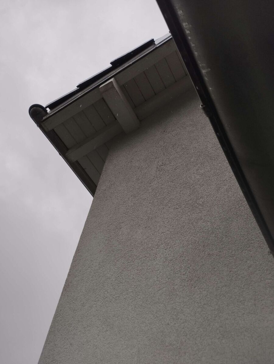 wespennest_entfernen