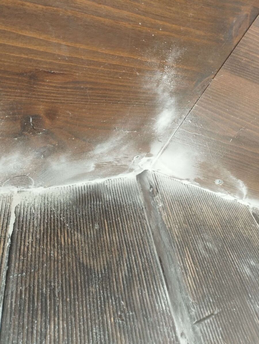 wespennest_entfernen