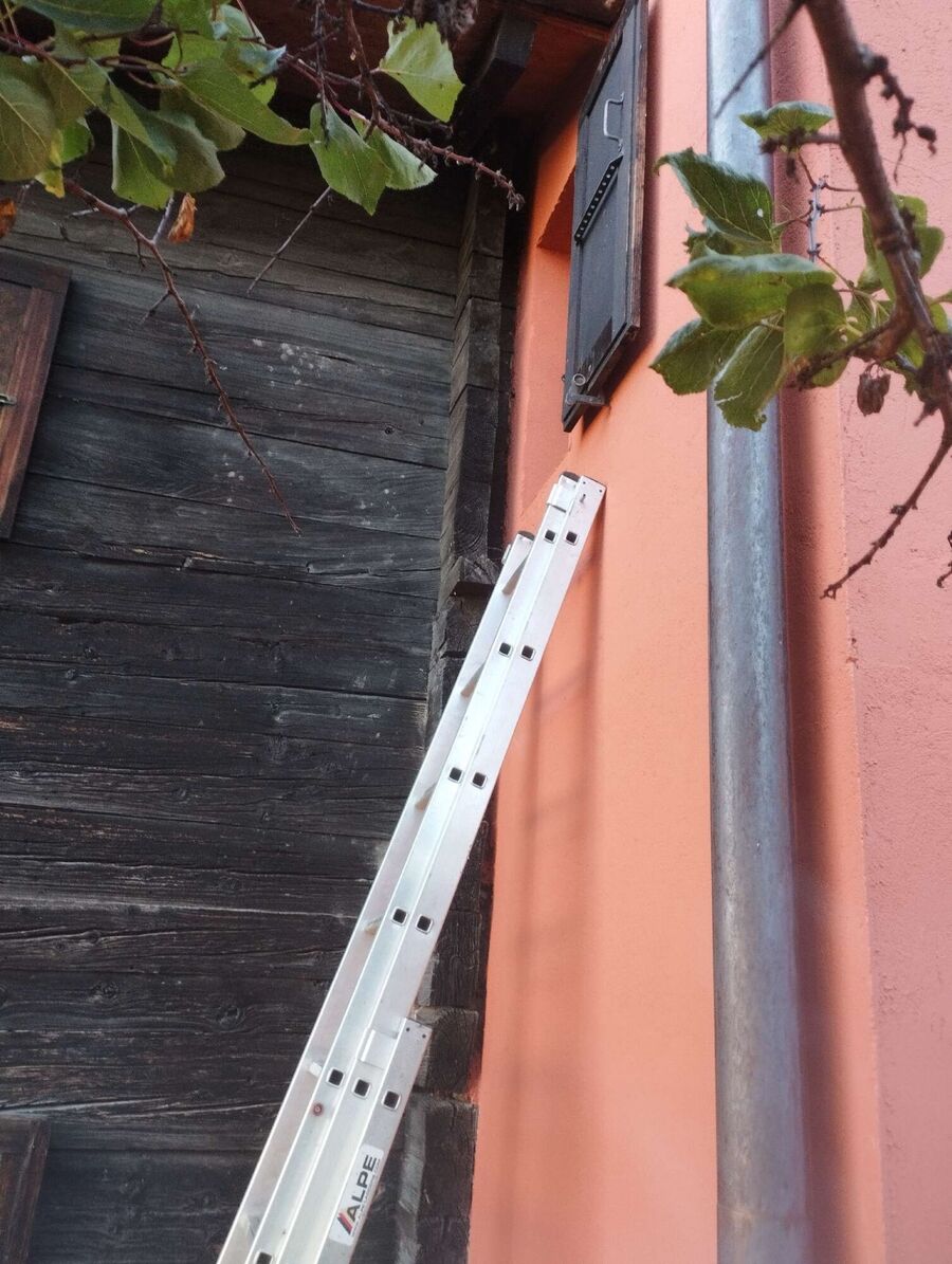 wespennest_entfernen