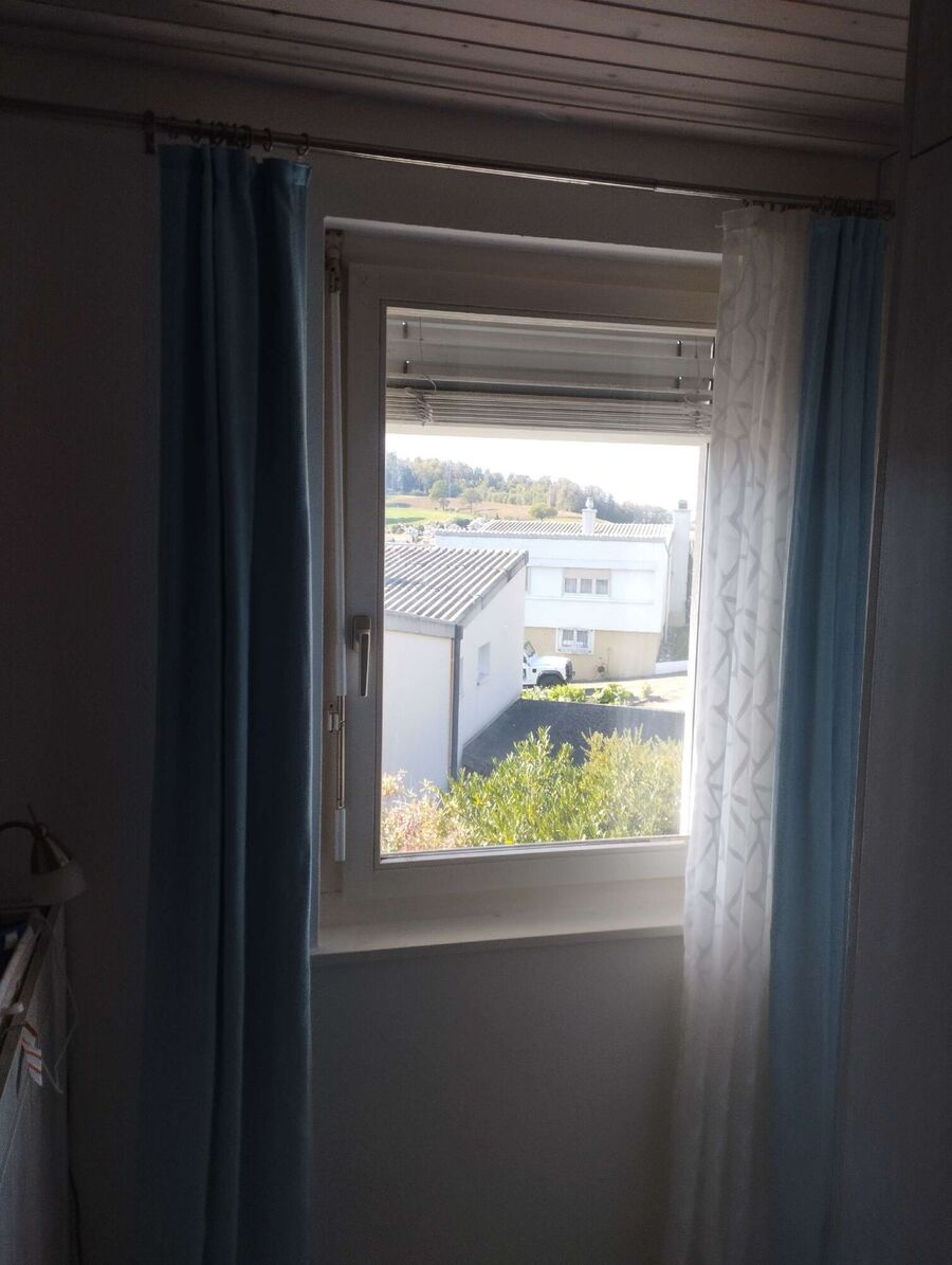 wespennest_entfernen