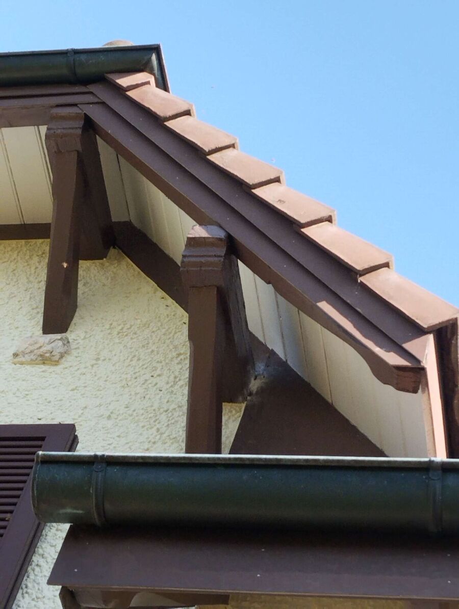 wespennest_entfernen