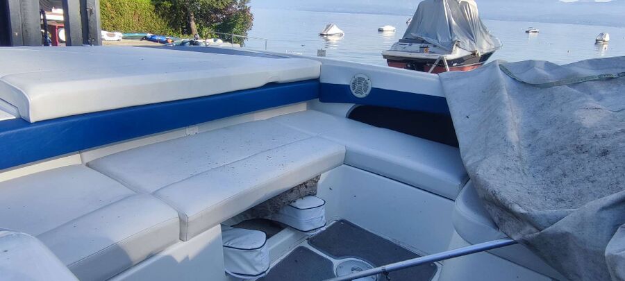 wespennest_entfernen