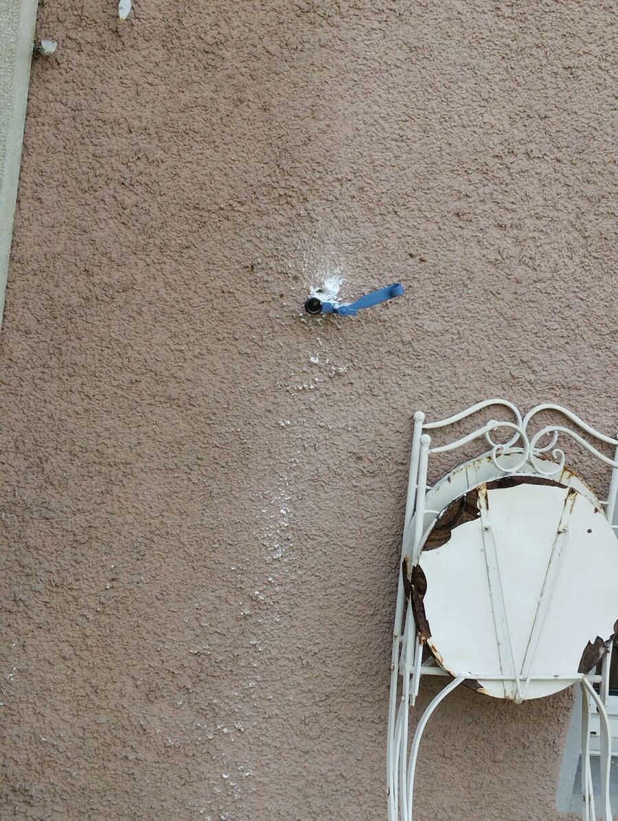 wespennest_entfernen