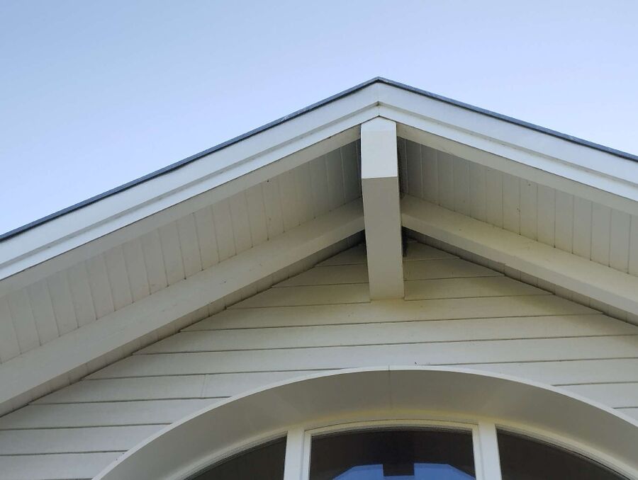 wespennest_entfernen