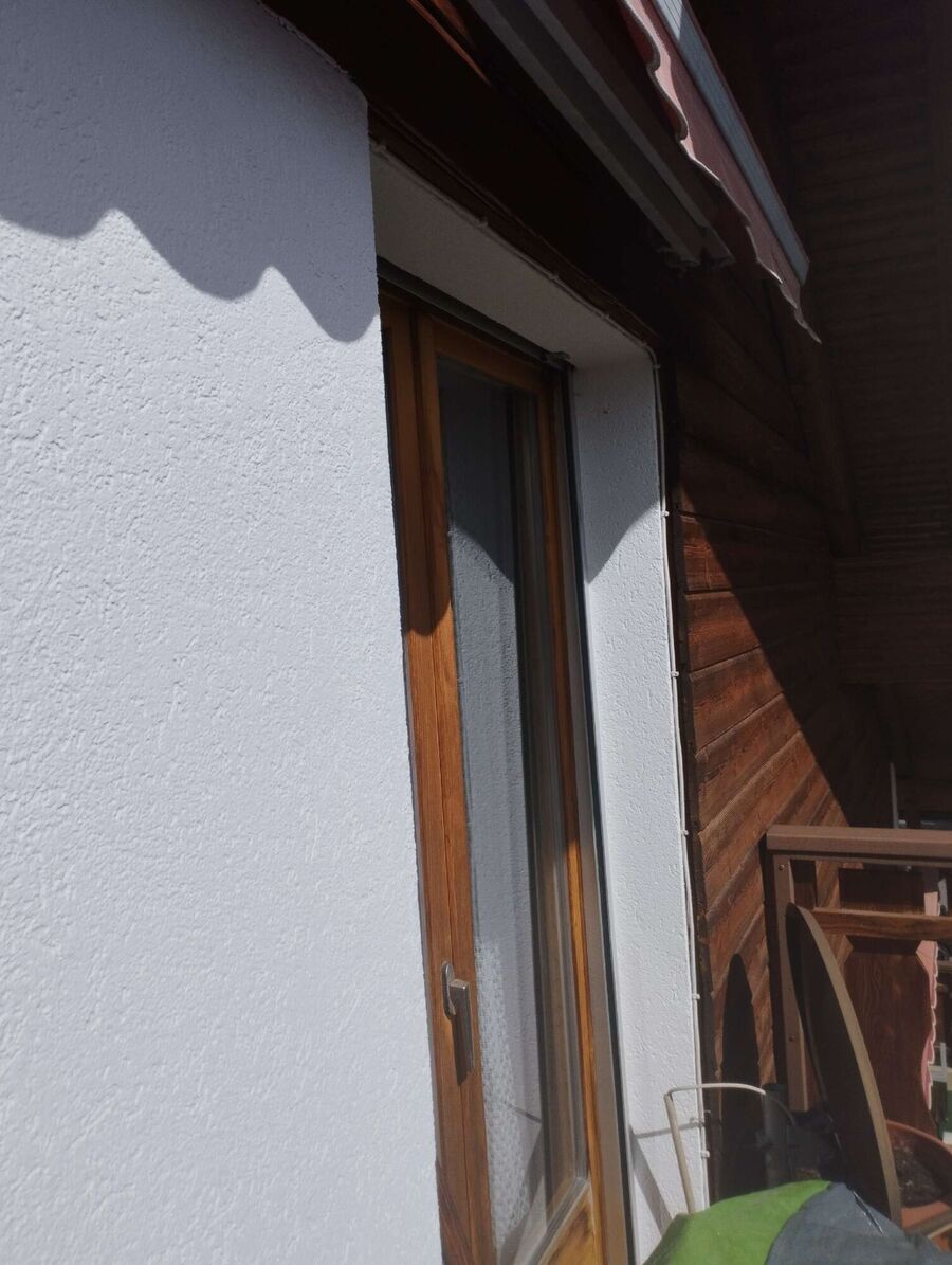 wespennest_entfernen