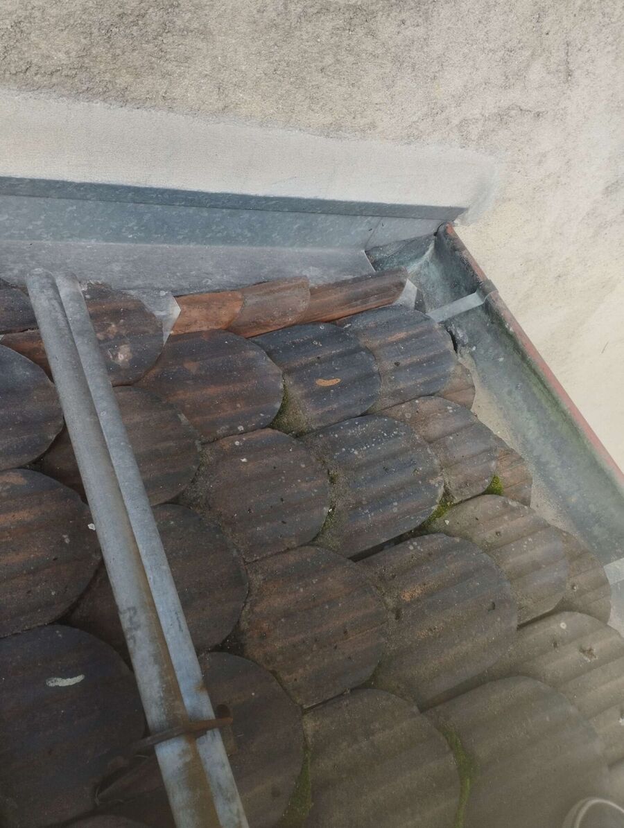 wespennest_entfernen