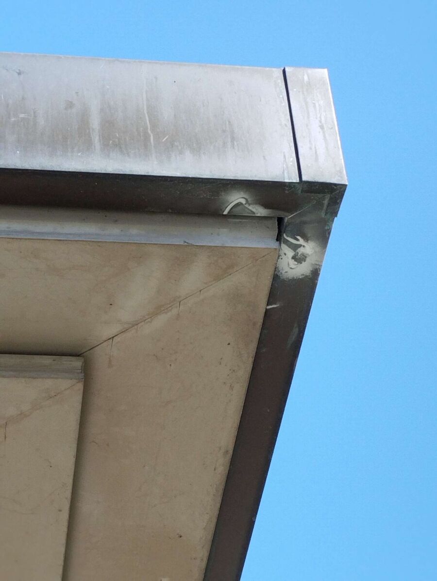 wespennest_entfernen