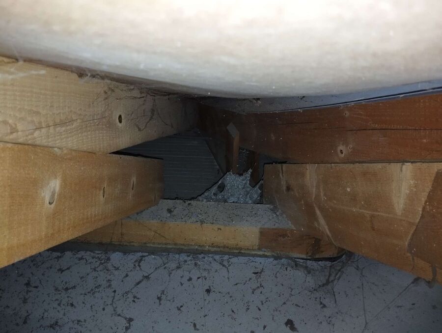 wespennest_entfernen