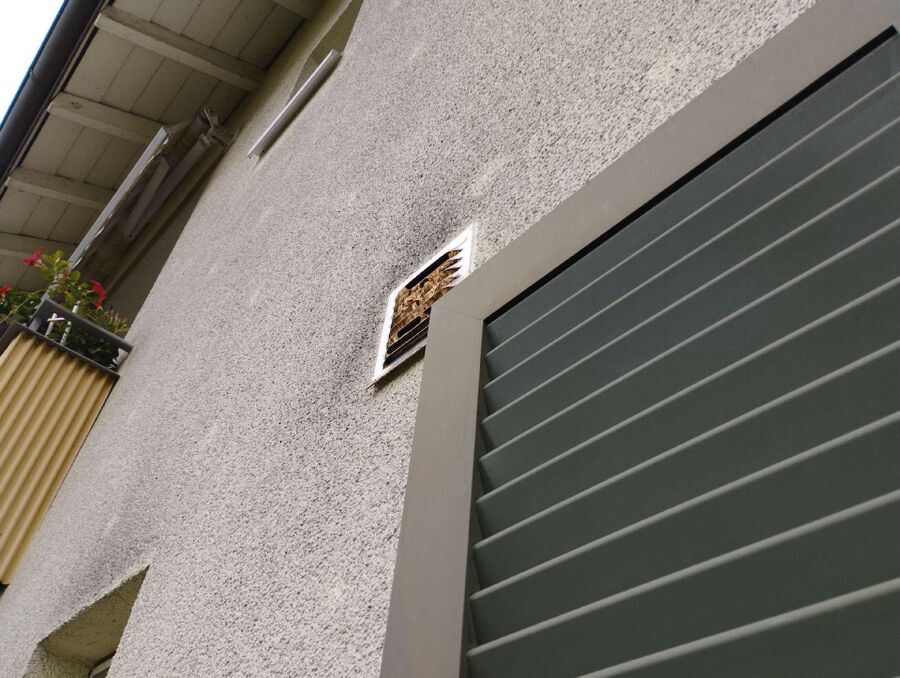 wespennest_entfernen