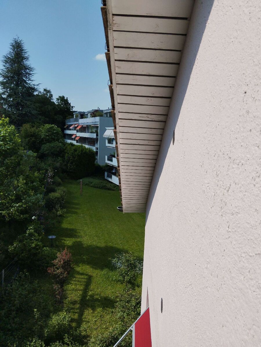 wespennest_entfernen