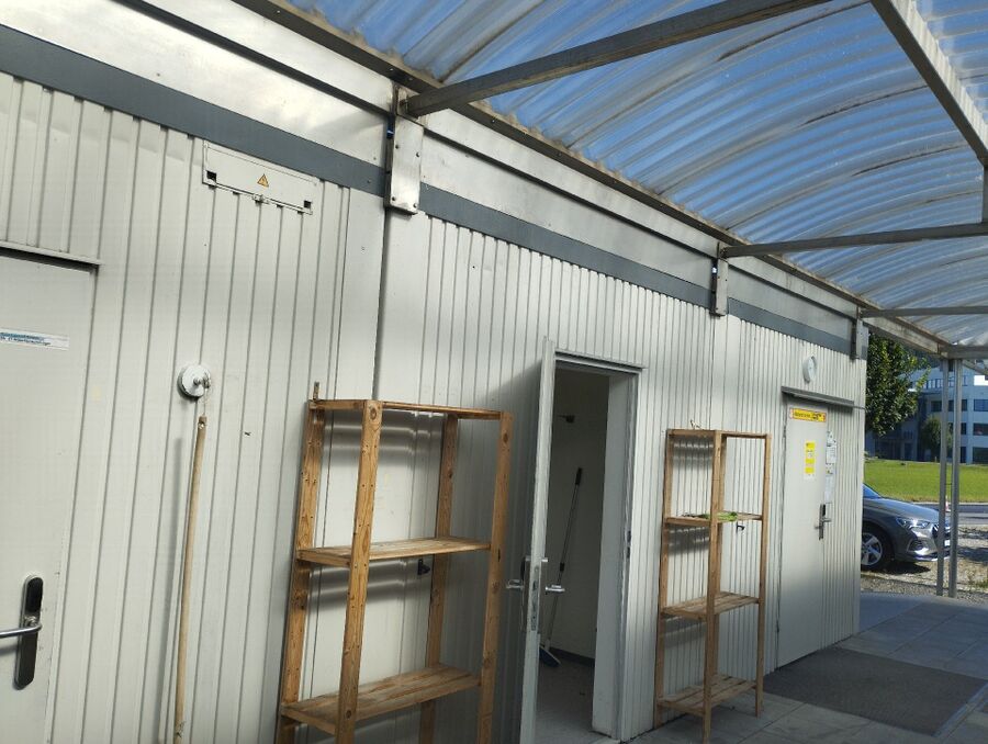 wespennest_entfernen