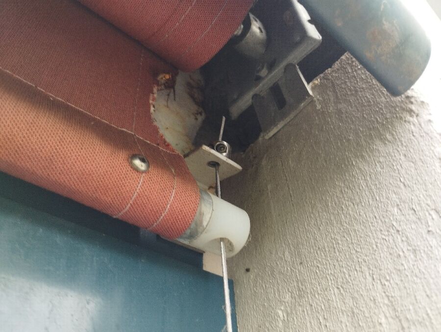 wespennest_entfernen