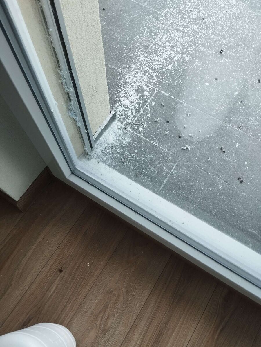 wespennest_entfernen