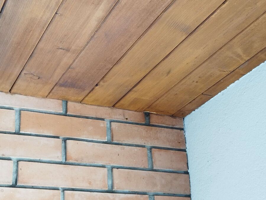 wespennest_entfernen