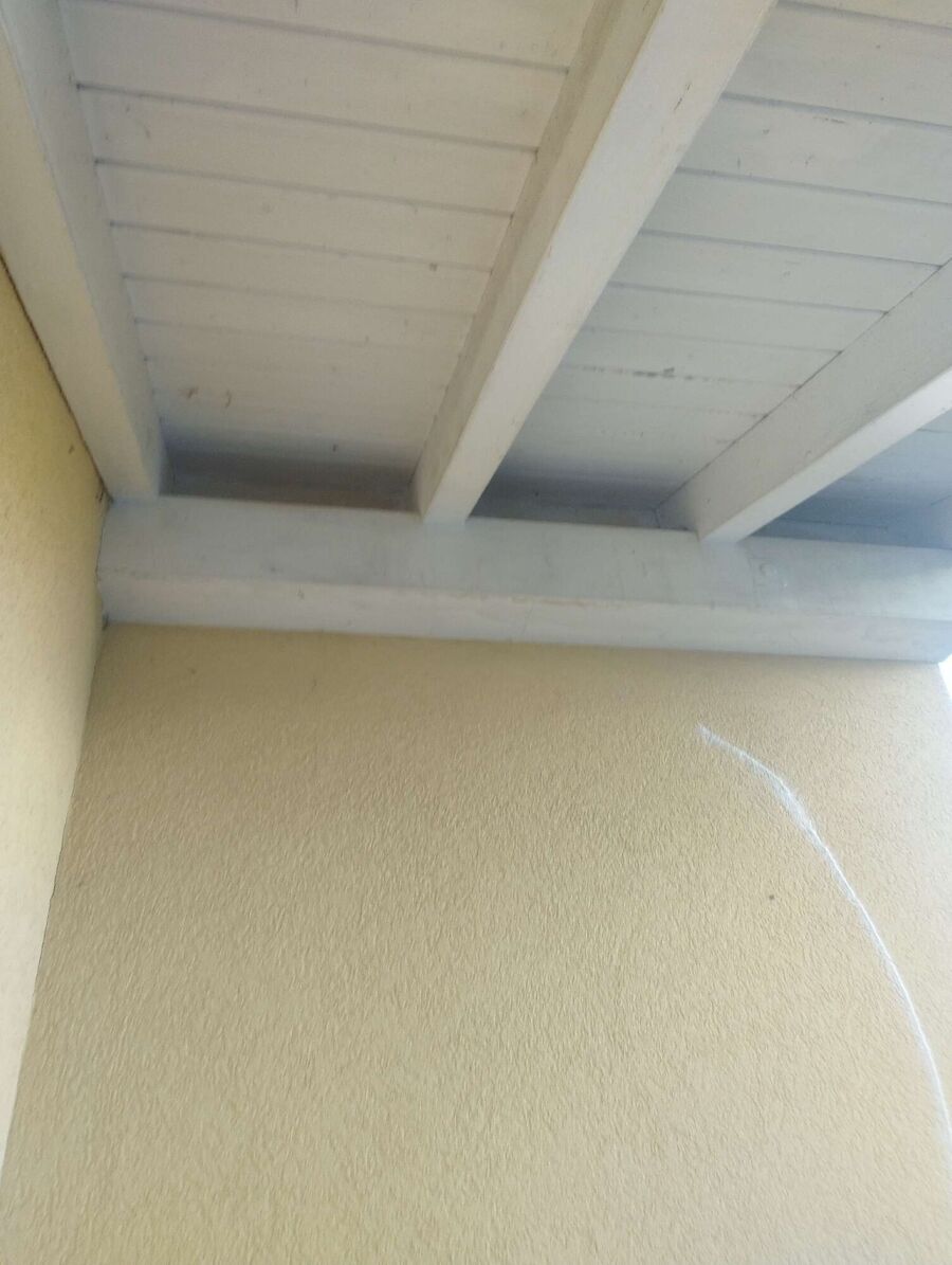 wespennest_entfernen