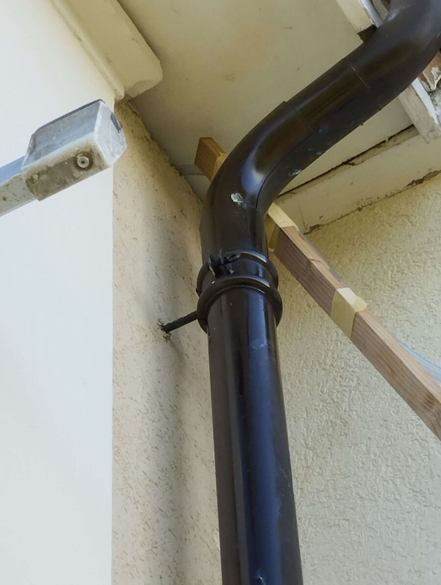 wespennest_entfernen