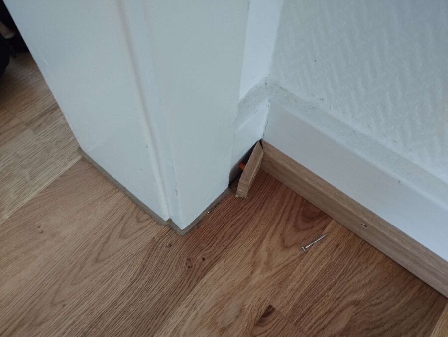 ameisen_vertreiben_bekaempfen_entfernen