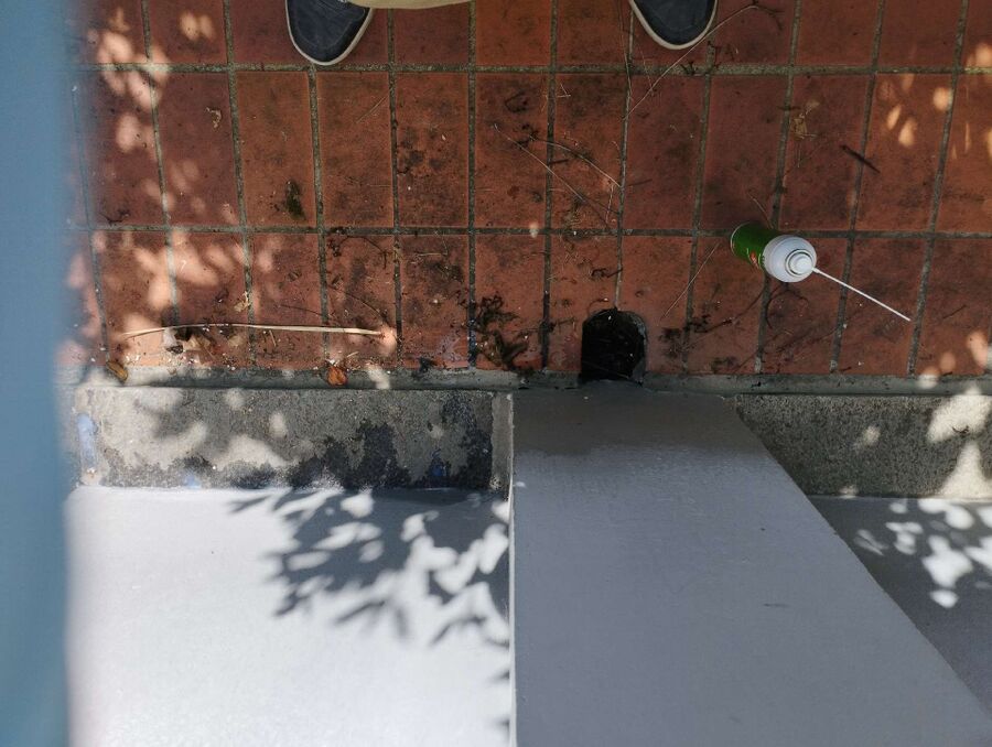 ameisen_vertreiben_bekaempfen_entfernen