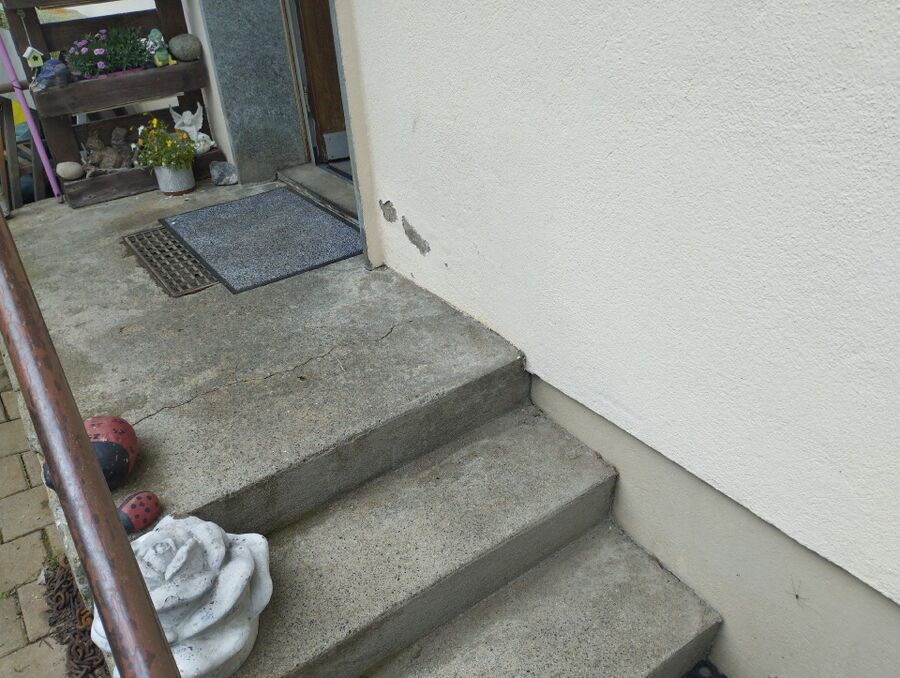 ameisen_vertreiben_bekaempfen_entfernen