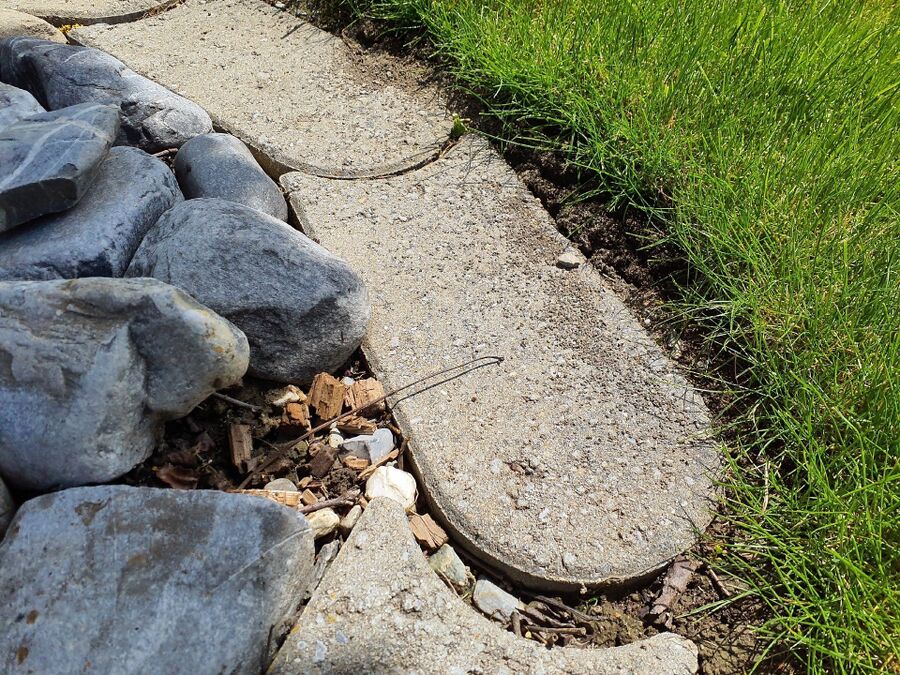 ameisen_vertreiben_bekaempfen_entfernen