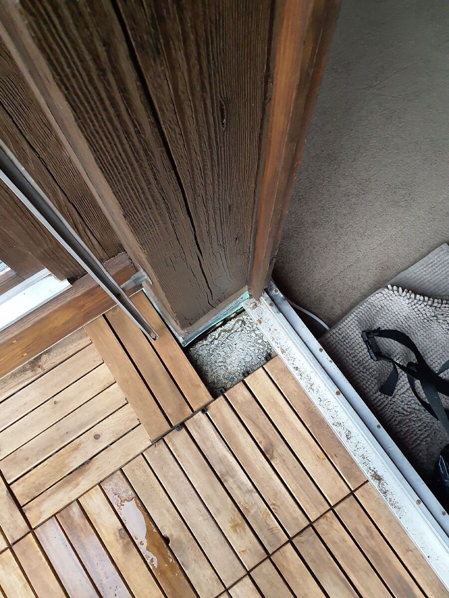 ameisen_vertreiben_bekaempfen_entfernen