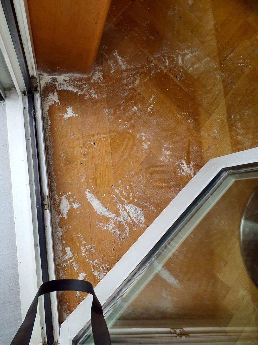 ameisen_vertreiben_bekaempfen_entfernen