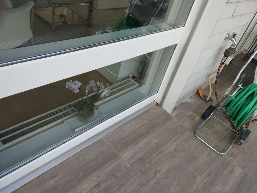 ameisen_vertreiben_bekaempfen_entfernen