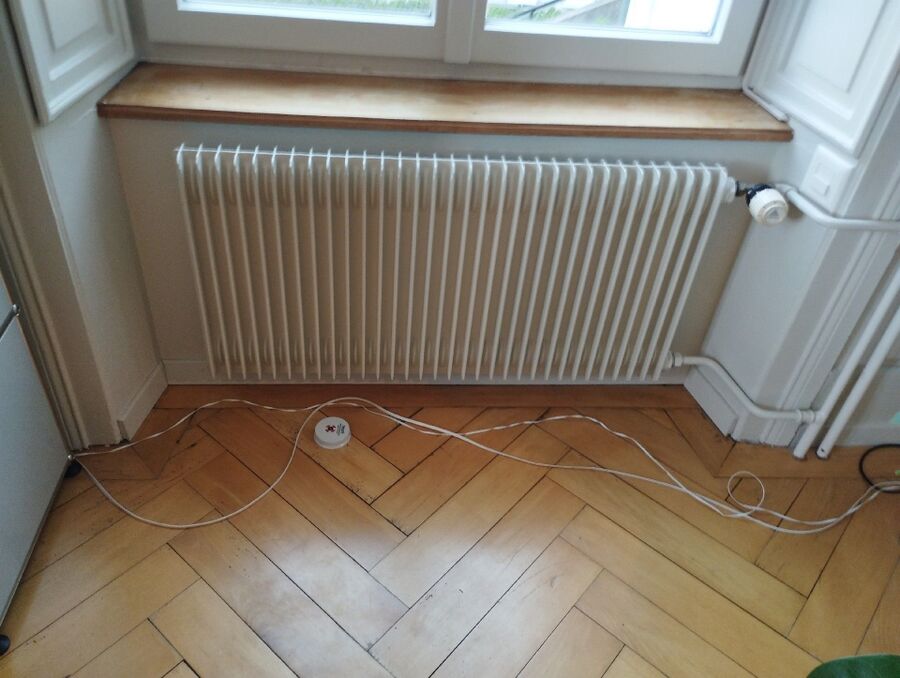 ameisen_vertreiben_bekaempfen_entfernen