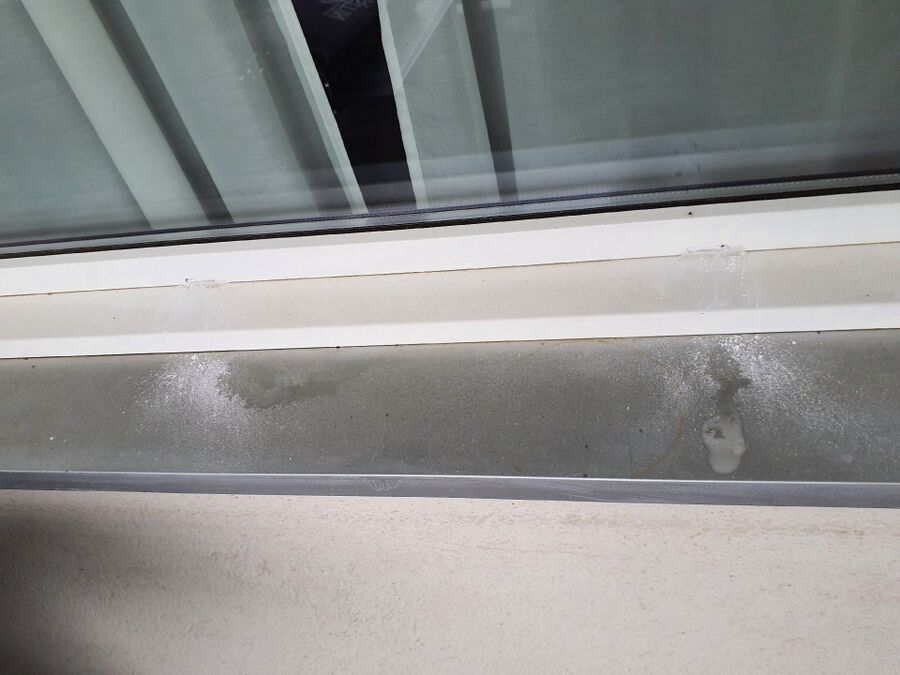 ameisen_vertreiben_bekaempfen_entfernen