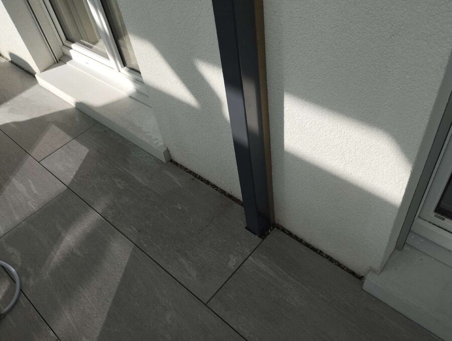 ameisen_vertreiben_bekaempfen_entfernen