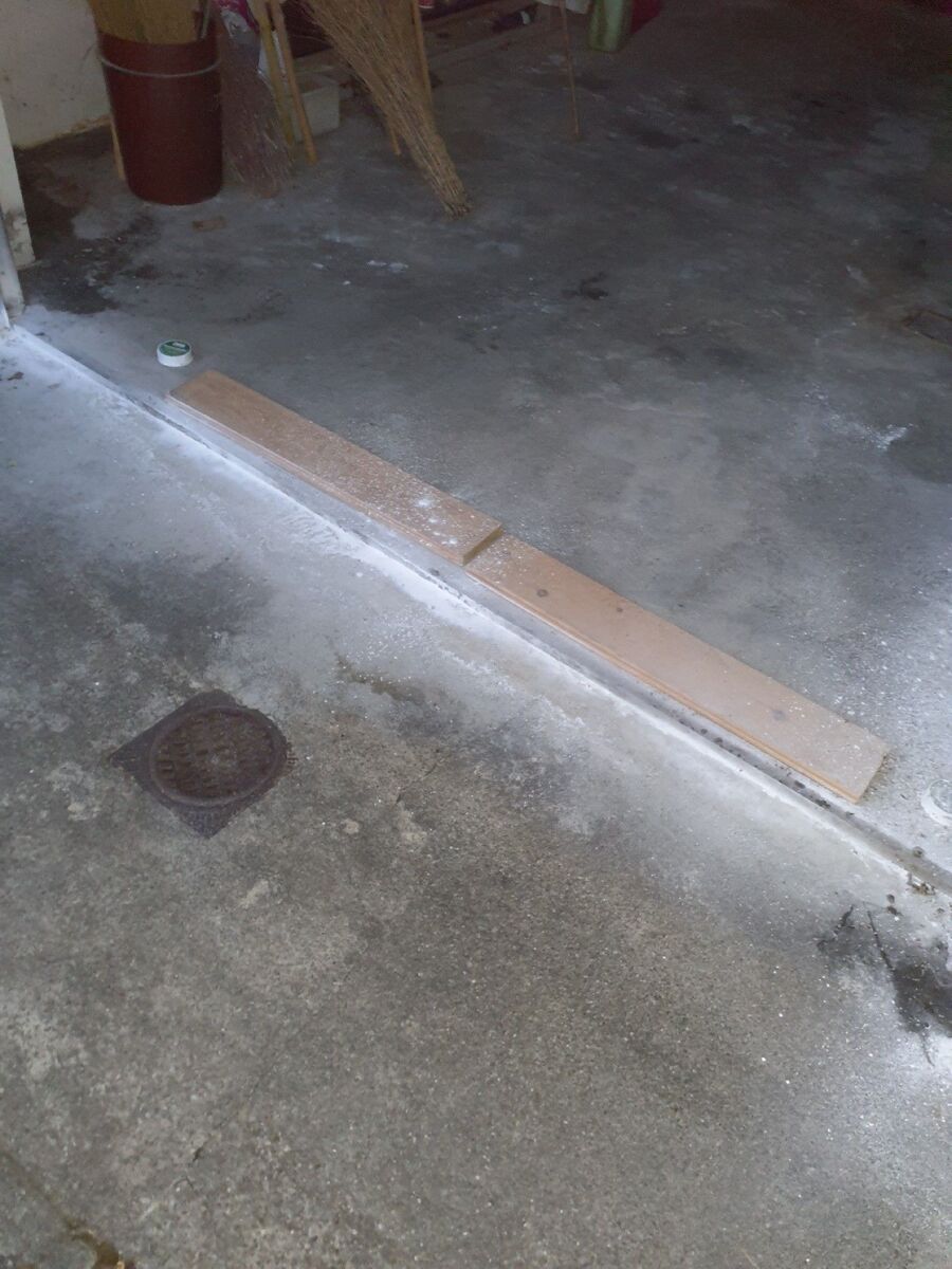 ameisen_vertreiben_bekaempfen_entfernen