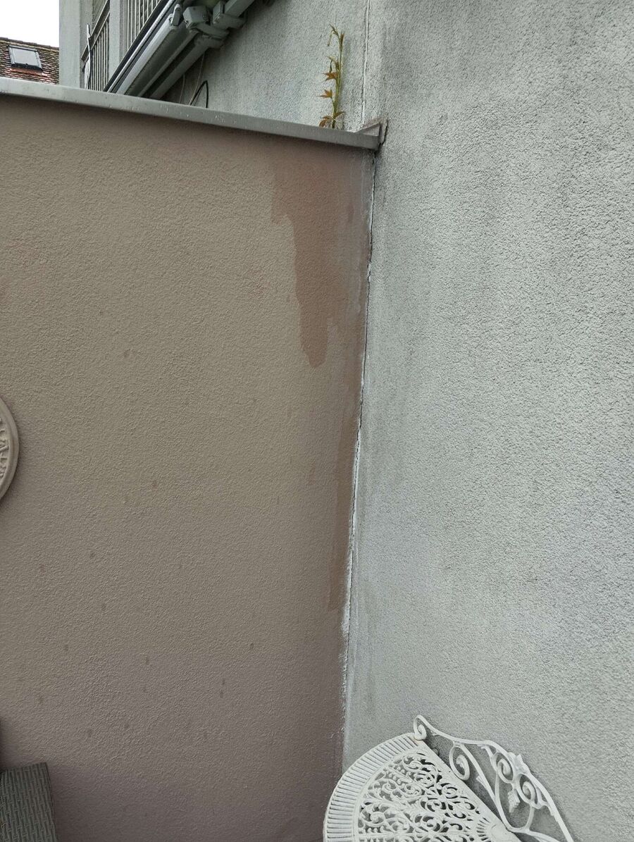 ameisen_vertreiben_bekaempfen_entfernen