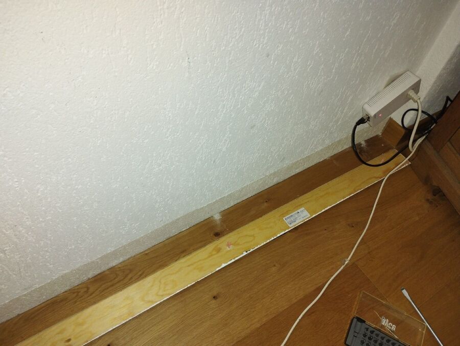 ameisen_vertreiben_bekaempfen_entfernen