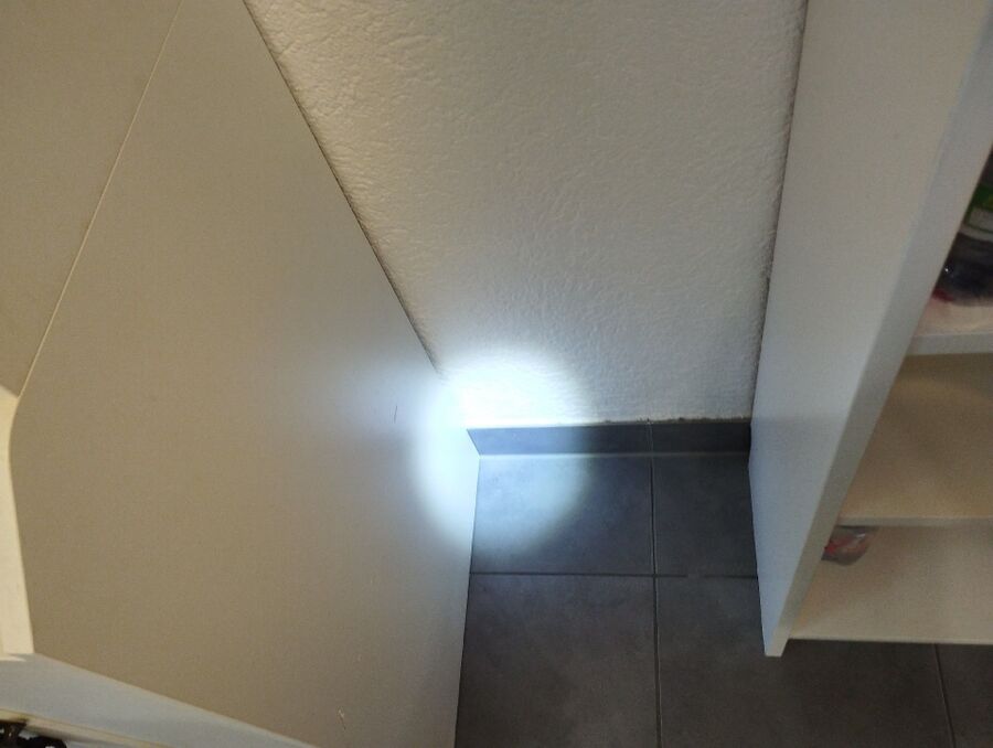 ameisen_vertreiben_bekaempfen_entfernen