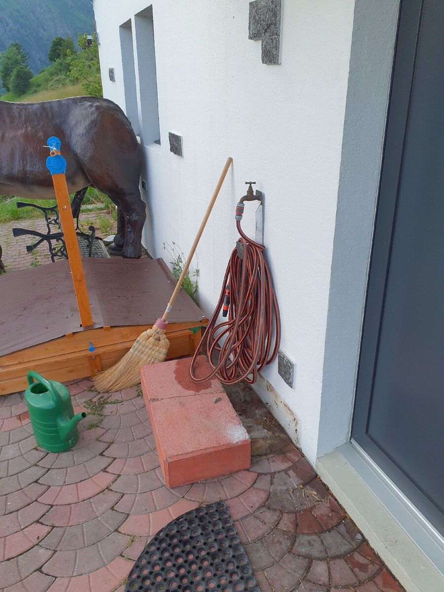 ameisen_vertreiben_bekaempfen_entfernen