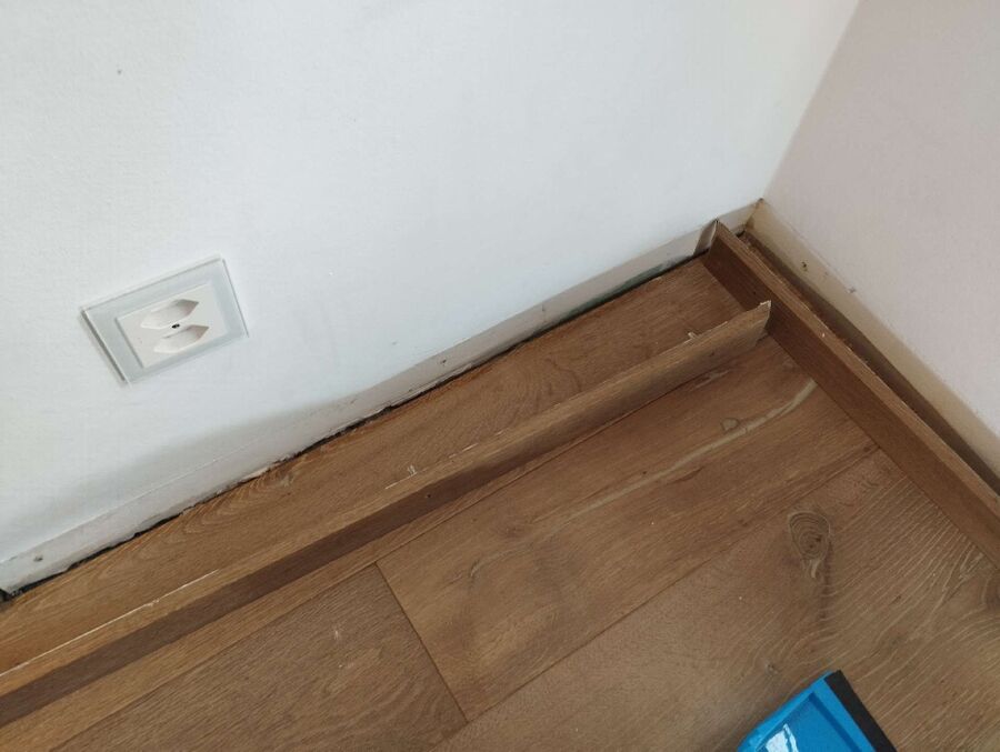 ameisen_vertreiben_bekaempfen_entfernen