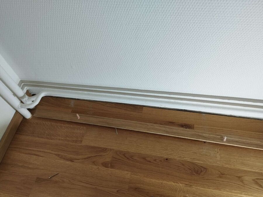 ameisen_vertreiben_bekaempfen_entfernen