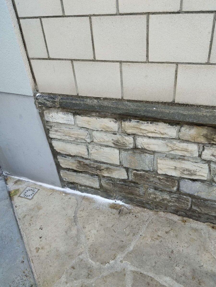 ameisen_vertreiben_bekaempfen_entfernen