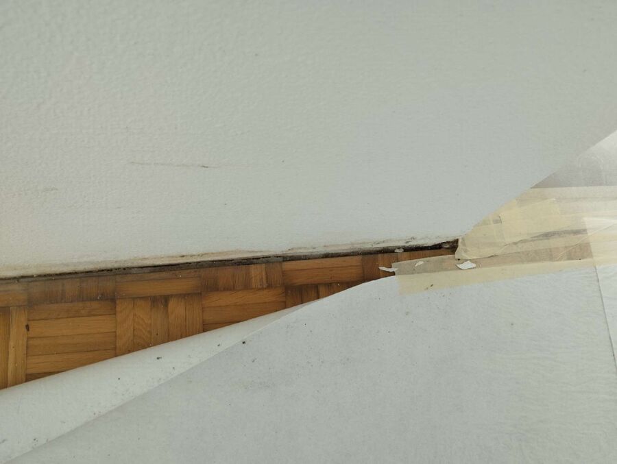 ameisen_vertreiben_bekaempfen_entfernen