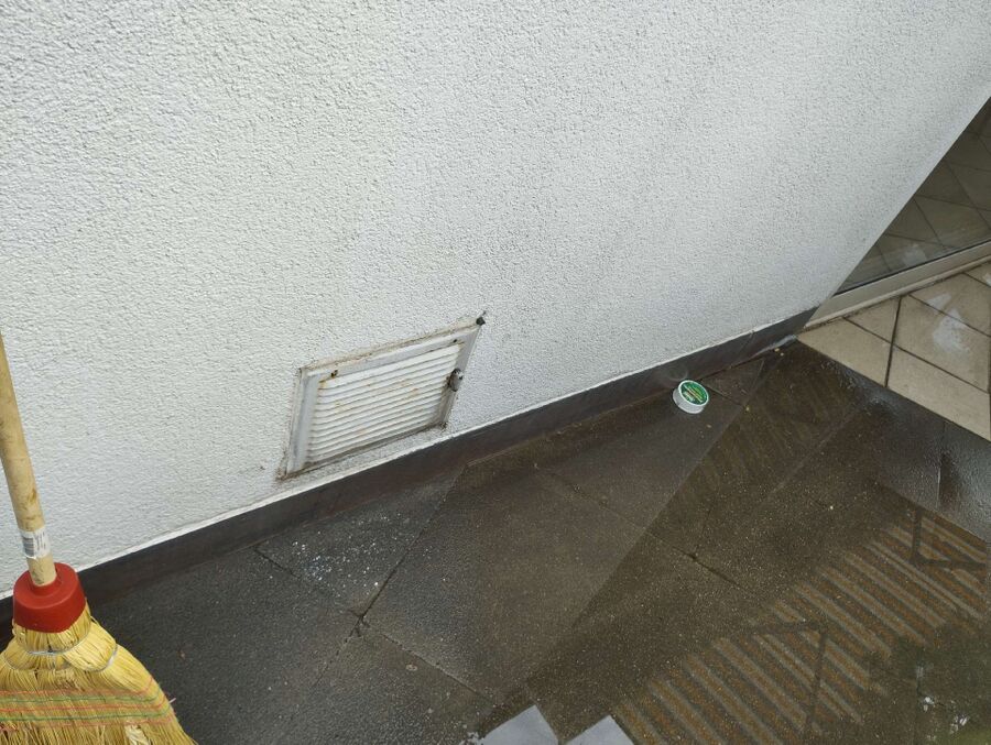 ameisen_vertreiben_bekaempfen_entfernen