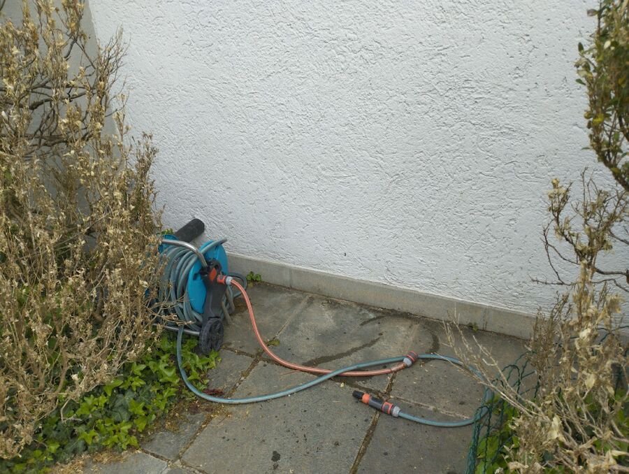 ameisen_vertreiben_bekaempfen_entfernen