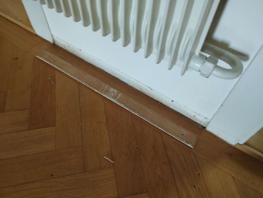 ameisen_vertreiben_bekaempfen_entfernen