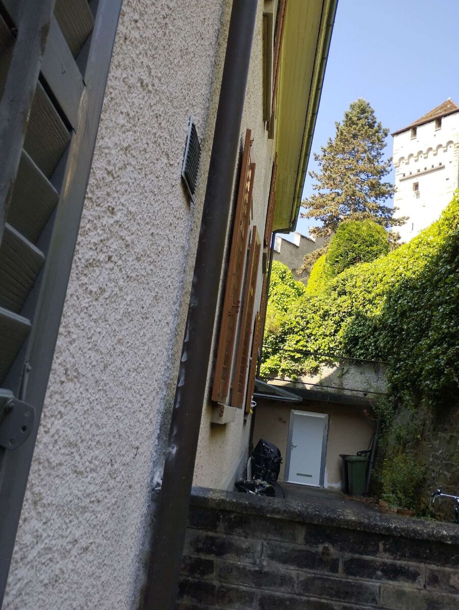 ameisen_vertreiben_bekaempfen_entfernen