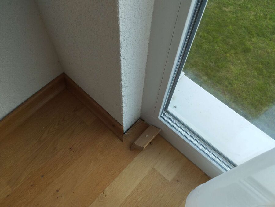 ameisen_vertreiben_bekaempfen_entfernen