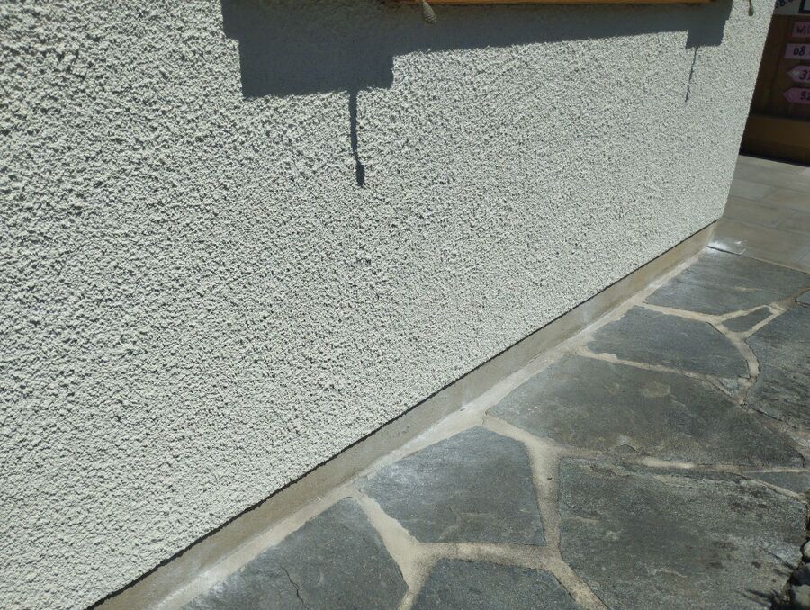 ameisen_vertreiben_bekaempfen_entfernen